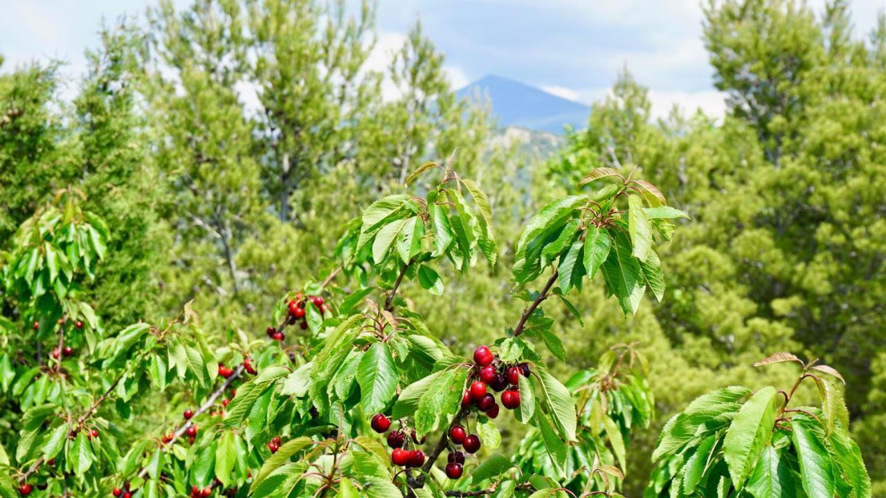 La Belle Histoire Gite Montmirail Bédoin Εξωτερικό φωτογραφία
